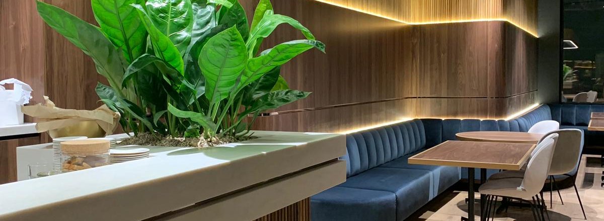 Amerikaans noten balie